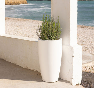 Macetero de color BAMBÚ 70