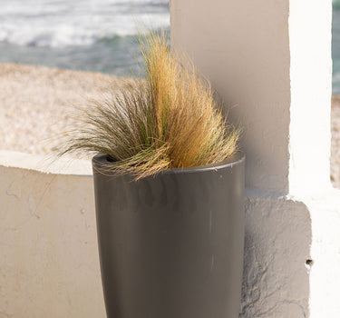 Macetero de color BAMBÚ 70