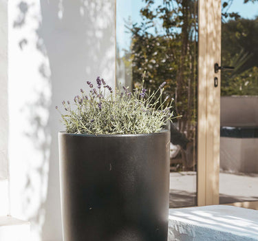 Macetero de color BAMBÚ 90