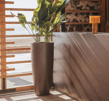 Macetero de color BAMBÚ 90