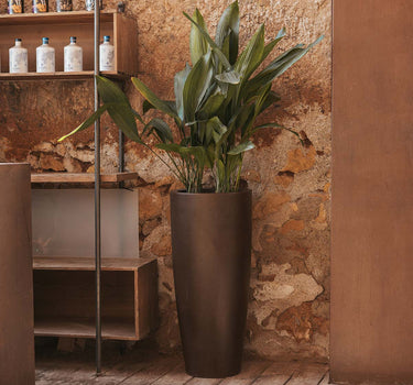 Macetero de color BAMBÚ 90