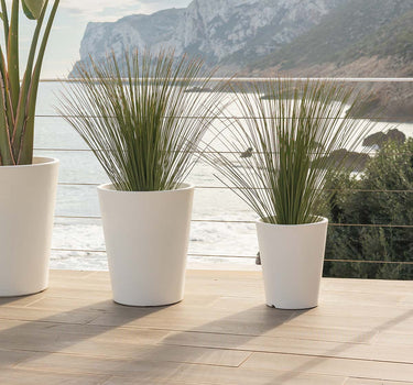 Macetero redondo de color GERBERA 33