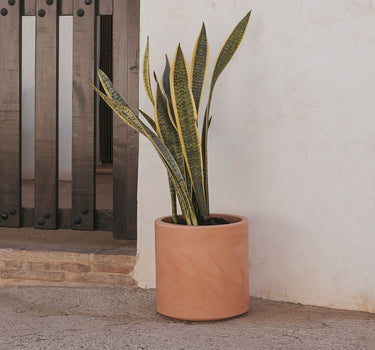 Macetero redondo de color HORTENSIA 30