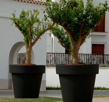 Macetero gigante MAGNOLIA 120