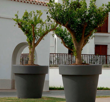 Macetero gigante MAGNOLIA 120