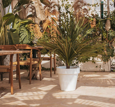 MACETERO REDONDO MAGNOLIA 45 COLOR