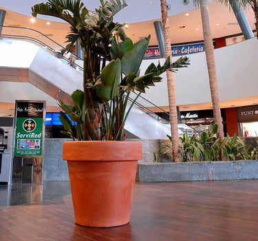 Macetero grande de color MAGNOLIA 80CM