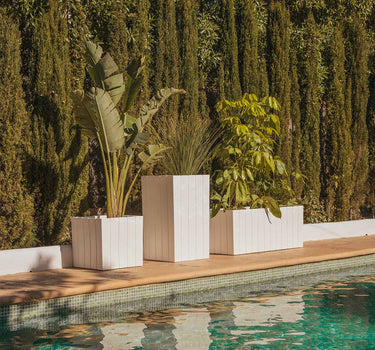 Macetero cuadrado de color OLIVO 50