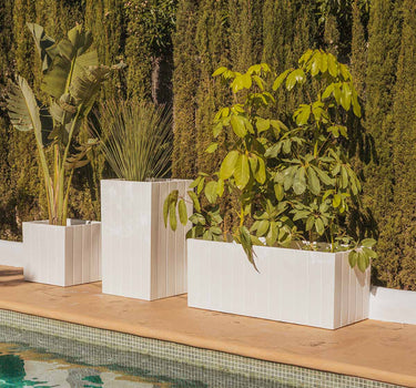 Macetero cuadrado de color OLIVO 50