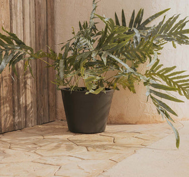 Macetero de color PETUNIA