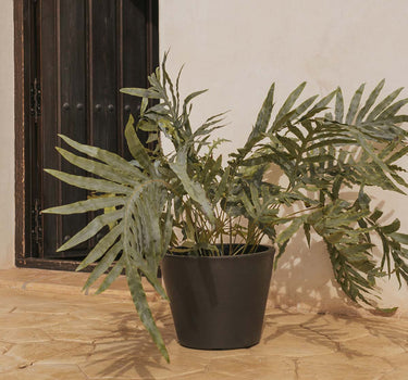 Macetero de color PETUNIA