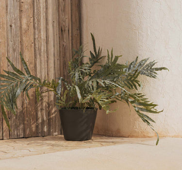 Macetero de color PETUNIA