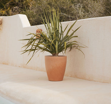 Macetero redondo de color VIOLETA 40