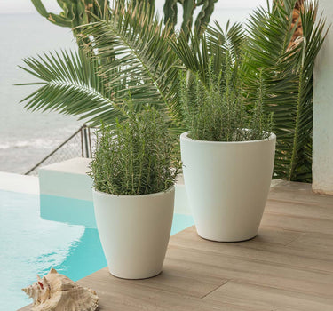 Macetero de color VIOLETA 30