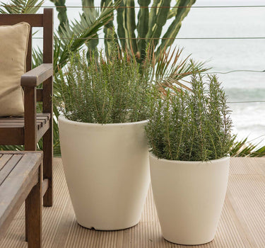 Macetero de color VIOLETA 30