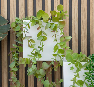 Macetero de pared Wally Pot