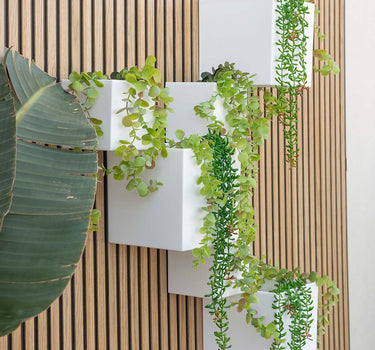 Macetero de pared Wally Pot